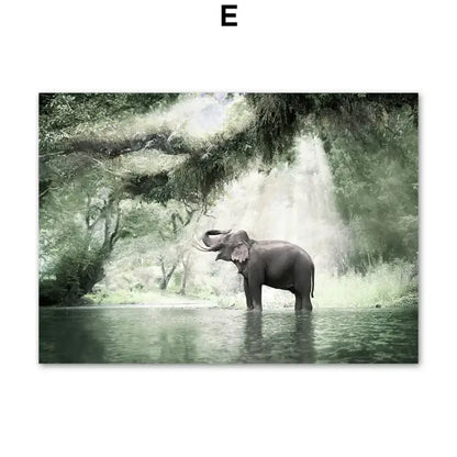 Affiche photographie animaux de la savane - E / 60X80 cm