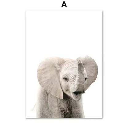 Affiche photographies d’animaux - A / 30X40 cm Unframed