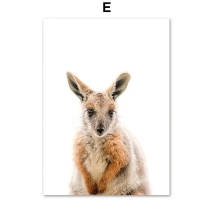 Affiche photographies d’animaux - E / 50X70 cm Unframed