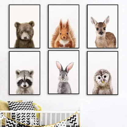 Affiche photographies d’animaux de la foret - affiche