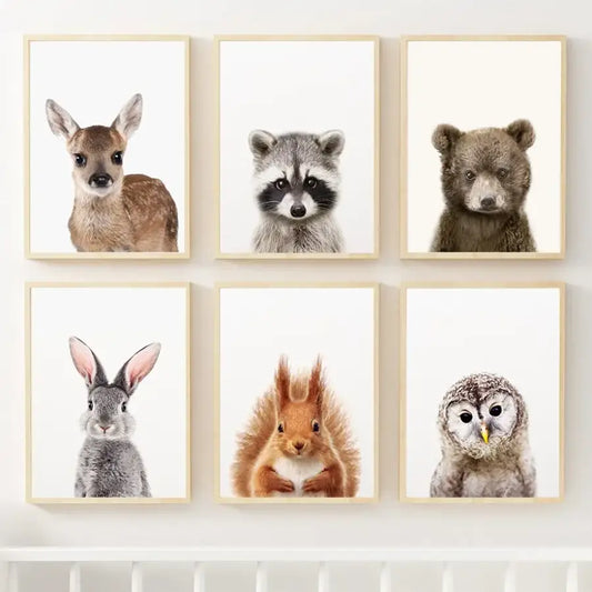 Affiche photographies d’animaux de la foret - affiche