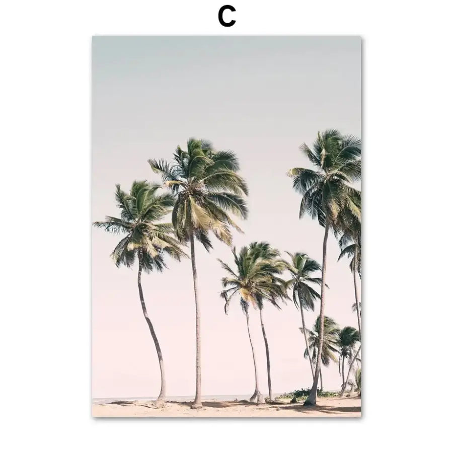 affiches voyage et tropiques - C / 40X50 cm Unframed